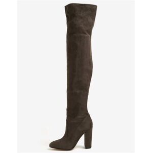 Brand New in Box - Aldo Sumers Thigh High Boots
